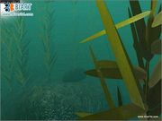 Diver Deep Water Adventures Pc Gamepressure