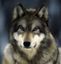 wolf33
