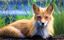 Foxybright