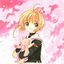 Petit Sakura-chan