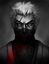 Roland_Ninja