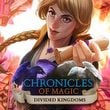 Chronicles of Magic: Divided Kingdoms