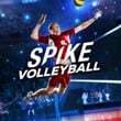 Spike Volleyball