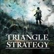 Triangle Strategy