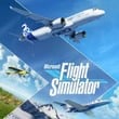 Microsoft Flight Simulator