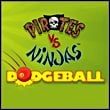 Pirates vs. Ninjas Dodgeball