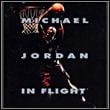 Michael Jordan in Flight