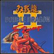 Double Dragon II: The Revenge