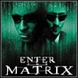 Enter The Matrix