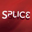 Splice