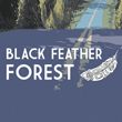Black Feather Forest