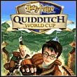 Harry Potter Quidditch World Cup