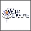 The Journey to Wild Divine