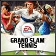 Grand Slam Tennis