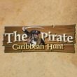 The Pirate: Caribbean Hunt