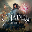 Citadel: Forged with Fire