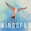 Wingspan