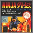 Ninja Gaiden (1991)