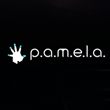 P.A.M.E.L.A.