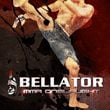 Bellator: MMA Onslaught