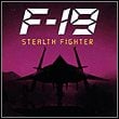 F-19 Stealth Fighter