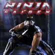 Ninja Gaiden