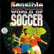 Sensible World of Soccer