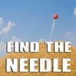 Find The Needle
