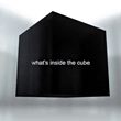 Curiosity: What's Inside the Cube?