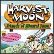 Harvest Moon: Friends of Mineral Town