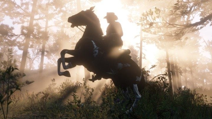 Musimy zakolegować się z wierzchowcem, nim ten pozwoli nam na takie efekciarstwo. - Niesamowite detale Red Dead Redemption 2 – gra dopracowana jak żadna inna - dokument - 2019-10-31