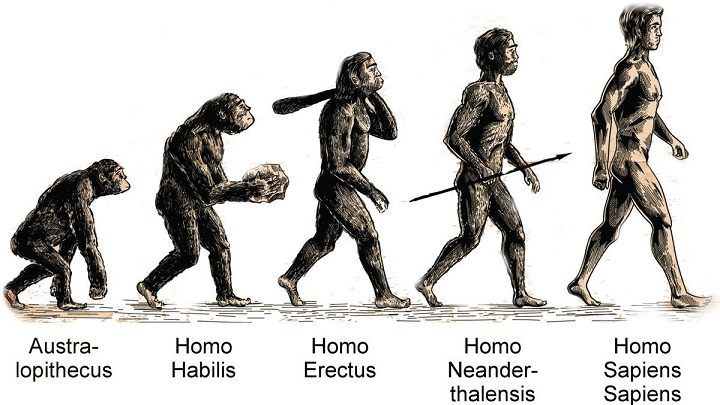 Droga od australopiteka do człowieka współczesnego trwała ponad 4 miliony lat - Czy możemy zostać superbohaterami? Nauka odpowiada - dokument - 2020-11-06