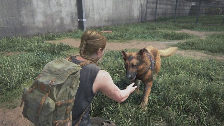 Los Alice nie był graczom obojętny. - 8 dobrych piesków, które zginęły w grach [SMUTNO] - dokument - 2021-04-02