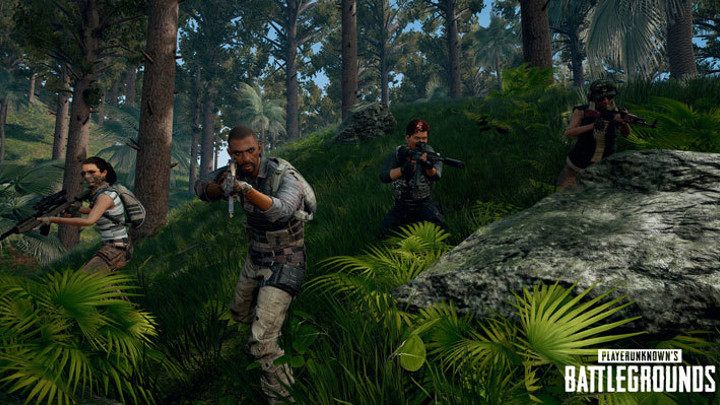 Tropiki nieźle się prezentują, nawet bez „wypolerowania”. - 2018-04-09