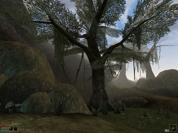 The Elder Scrolls III: Morrowind, Bethesda Softworks, 2002. - Czy Morrowind był Skyrimem swoich czasów? Czas na nostalgiczną podróż do 2002 roku - dokument - 2024-08-20