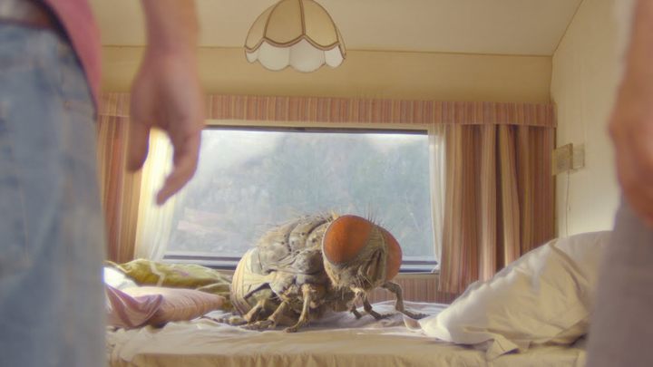 Czego spodziewać się po filmach na Nowych Horyzontach? Między innymi takich obrazków (kadr z komedii Mandibules w reżyserii Quentina Dupieux). - Oglądam pięć filmów dziennie, a chciałbym jeszcze więcej. Tak wygląda życie na Festiwalu Nowe Horyzonty - dokument - 2021-08-20