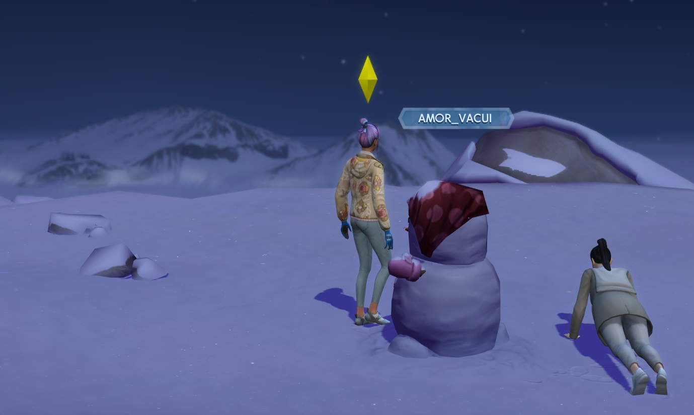 Thank you from the mountain. - Przepiękne flaki z olejem - wracamy do Simsów wraz ze Śnieżną Eskapadą - dokument - 2020-11-06