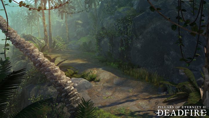 W Pillars of Eternity przebijaliśmy się przez dzicz. Podróż morska w sequelu z pewnością będzie miłą odmianą. - 2017-05-11