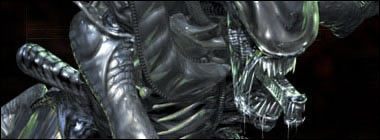 Szybkość, możliwość chodzenia po ścianach czy ataki w grupie - to są określenia charakteryzujące ten specyficzny gatunek - Alien: Charakterystyka | Aliens vs Predator 2 - Aliens vs Predator 2 - poradnik do gry