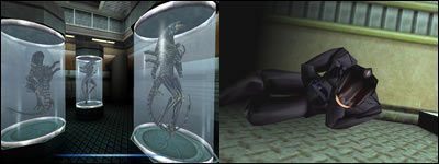 Obcy w puszce? Człowiek to podobno jeden z nielicznych gatunków, który zje wszystko... - Alien: Charakterystyka | Aliens vs Predator 2 - Aliens vs Predator 2 - poradnik do gry