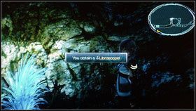Wracamy teraz na główną ścieżkę i biegniemy dalej, zabijając grupki przeciwników - Chapter IV (2) | Opis przejścia | Final Fantasy XIII - Final Fantasy XIII - poradnik do gry