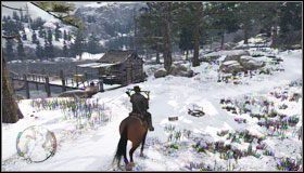 1 - Stroje (2) | Aktywności dodatkowe | Red Dead Redemption - Red Dead Redemption - poradnik do gry