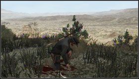 Tuż przy biurze szeryfa (F1) stoi zapłakana kobieta prosząca o pomoc w odnalezieniu jej syna #1 - Nieznajomi (1) | Aktywności dodatkowe | Red Dead Redemption - Red Dead Redemption - poradnik do gry