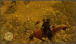 Cel: Zabij pięć królików - Sharpshooter | Wyzwania | Red Dead Redemption - Red Dead Redemption - poradnik do gry