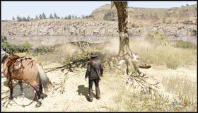 4 - Treasure Hunter (1) | Wyzwania | Red Dead Redemption - Red Dead Redemption - poradnik do gry