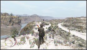 Wsiądź na miejsce pasażera i odczekaj, aż wraz z Luisą dotrzecie na miejsce - Northern Mexico (3) | Opis przejścia | Red Dead Redemption - Red Dead Redemption - poradnik do gry