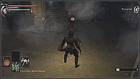 Dotrzemy do odnogi w prawo - zabijamy wroga - Demons Souls: Journey to the Nexus - solucja, opis przejścia - Demons Souls - poradnik do gry