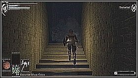 3 - Demons Souls: Journey to the Nexus - solucja, opis przejścia - Demons Souls - poradnik do gry