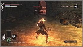 6 - Demons Souls: Stonefang Tunnel (1) - solucja, opis przejścia - Demons Souls - poradnik do gry