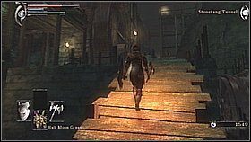 Za miejscem, gdzie wisiała jaszczurka (w kącie pomieszczenia) znajdziemy Shard of Meltstone - Demons Souls: Stonefang Tunnel (2) - solucja, opis przejścia - Demons Souls - poradnik do gry